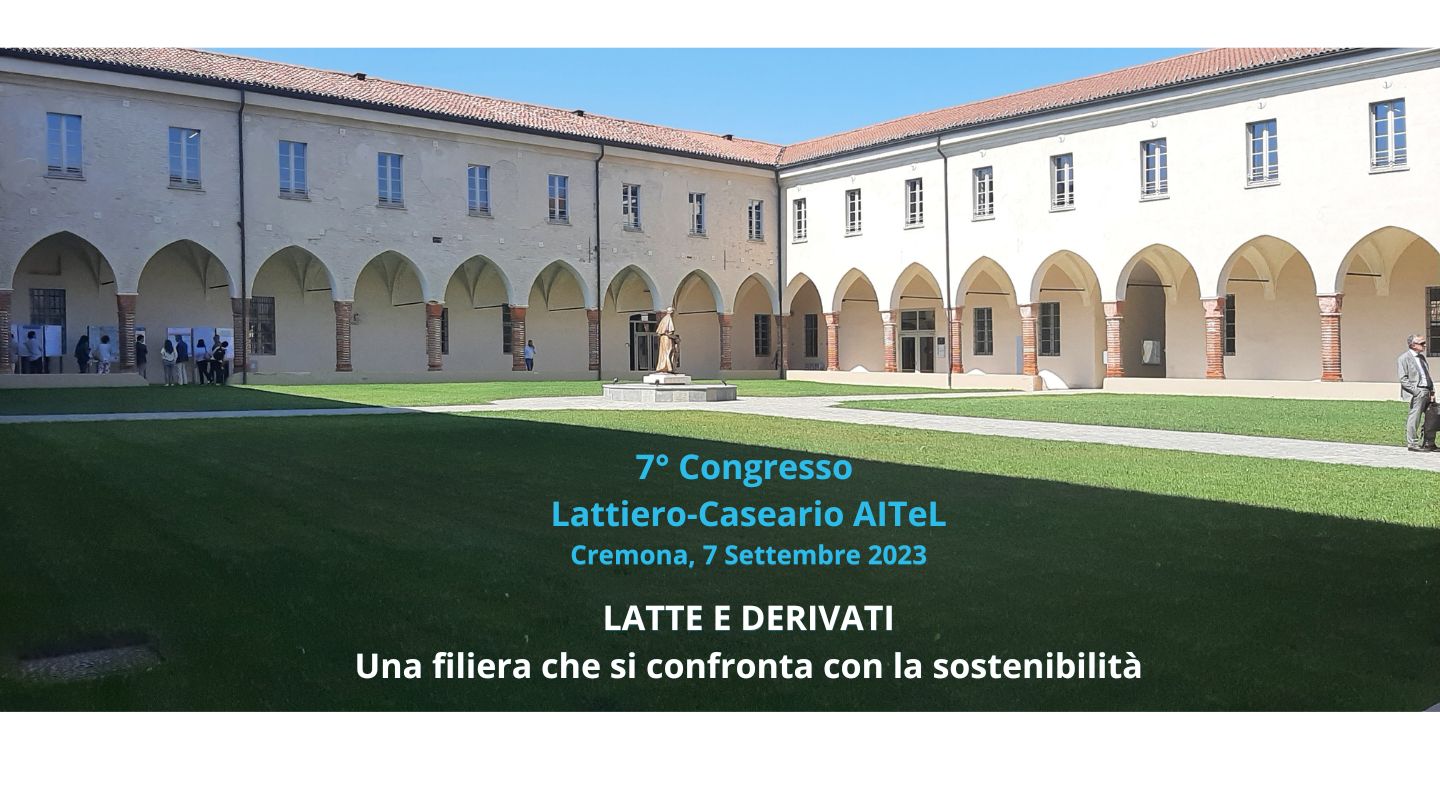 Book of Abstracts 7° Convegno AITeL